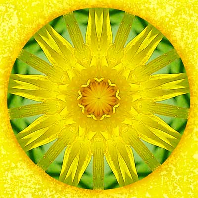 summer-blessing-mandala-400 Summer Blessing Mandala © Sue O'Kieffe