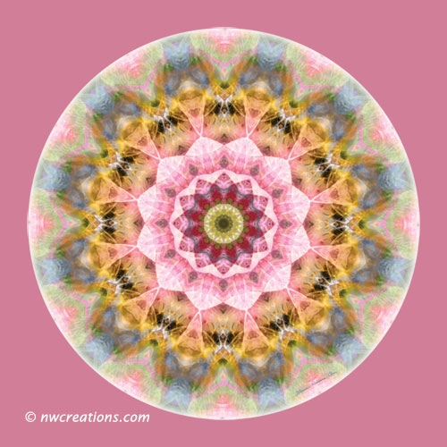 Mandalas from the Heart of Transformation, No. 1