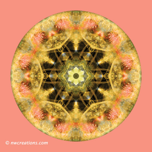 Mandalas from the Heart of Transformation, No. 4