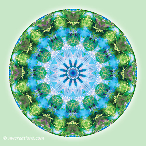 Mandalas from the Heart of Transformation, No. 6