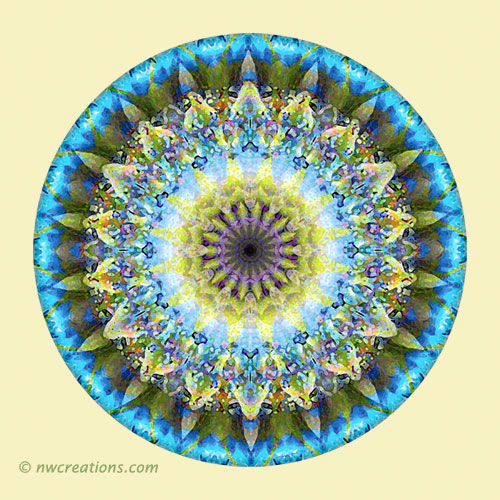 Mandalas from the Heart of Transformation, No. 8