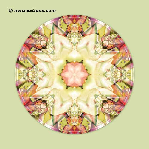 Mandalas from the Heart of Truth, No. 5
