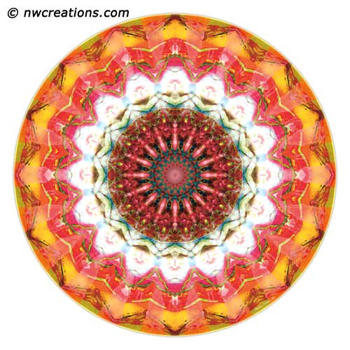 Mandalas from the Heart of Surrender, No. 1