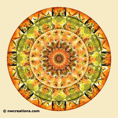 Mandalas of Deep Trust, No. 10