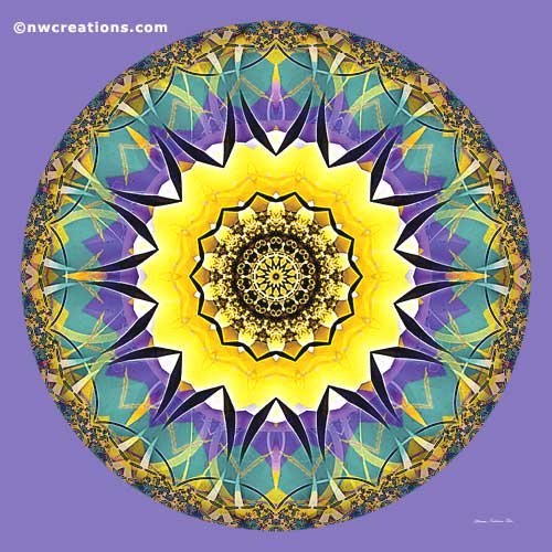 Mandalas of Healing and Awakening, No. 5