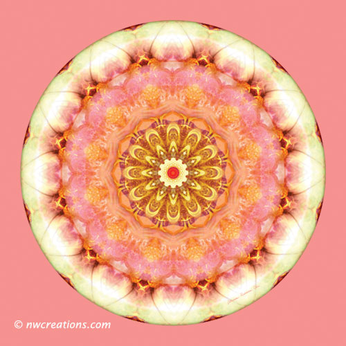 Mandalas from the Heart of Transformation, No. 9