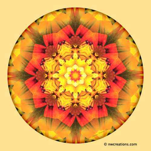 Mandalas_for_a_New_Earth_10_600