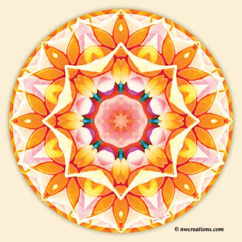 Mandalas_for_a_New_Earth_20_600