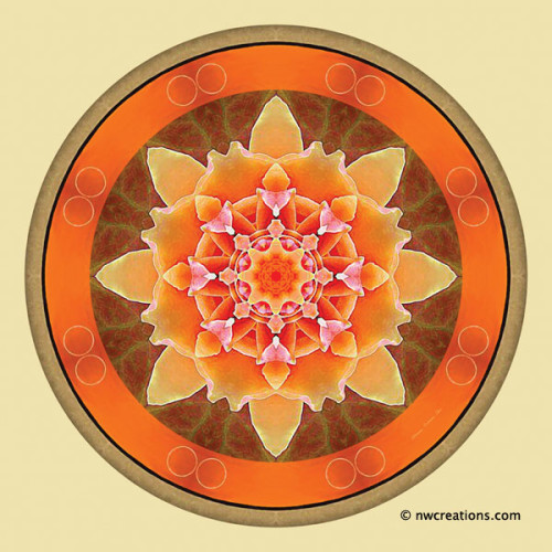 Mandalas_for_a_New_Earth_2_600