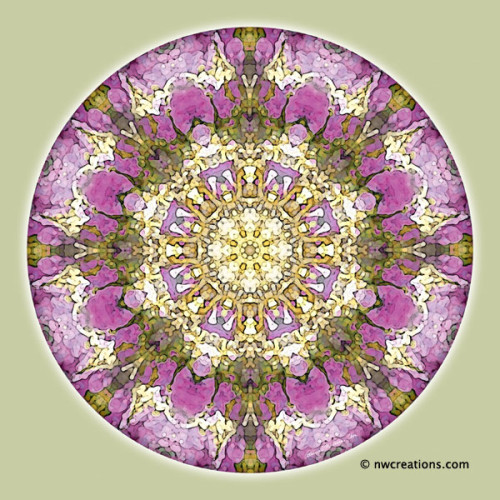 Mandalas_for_a_New_Earth_4_600